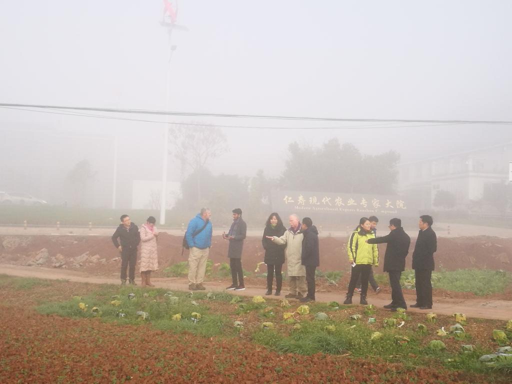 2138cn太阳城集团