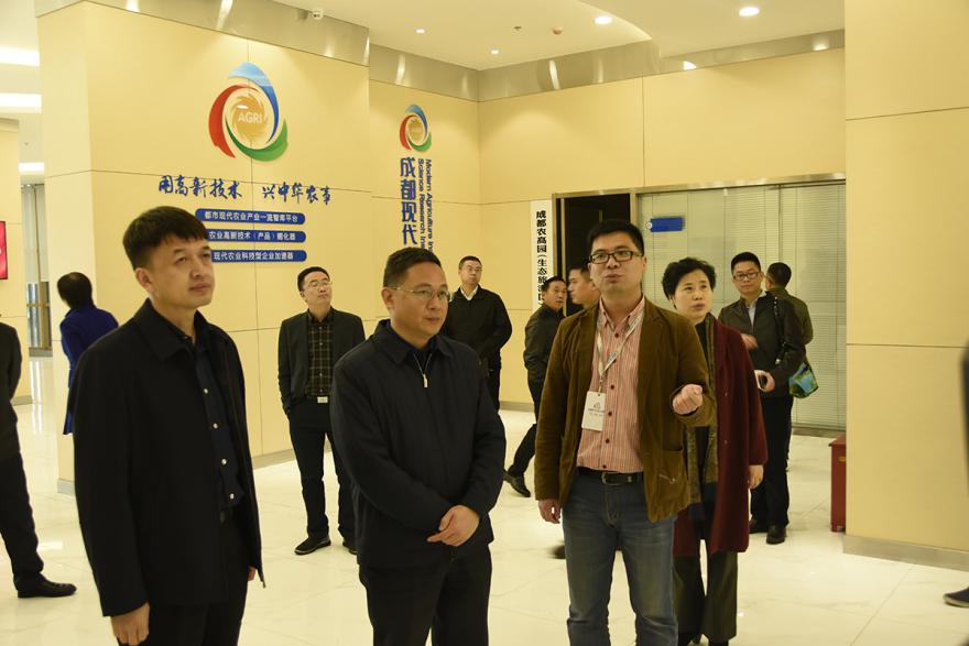 1.jpg 2138cn太阳城集团