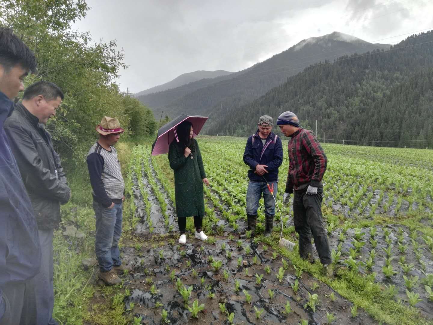 2138cn太阳城集团