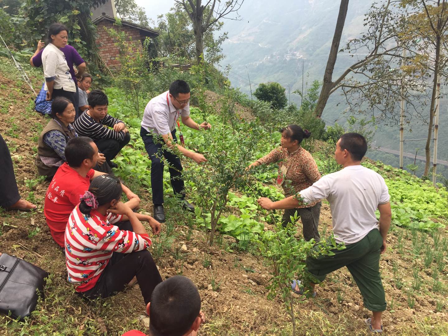 2138cn太阳城集团