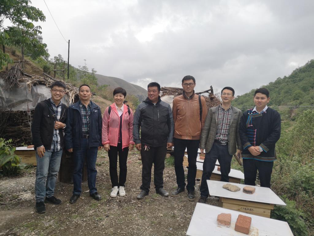 2138cn太阳城集团