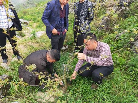 2138cn太阳城集团