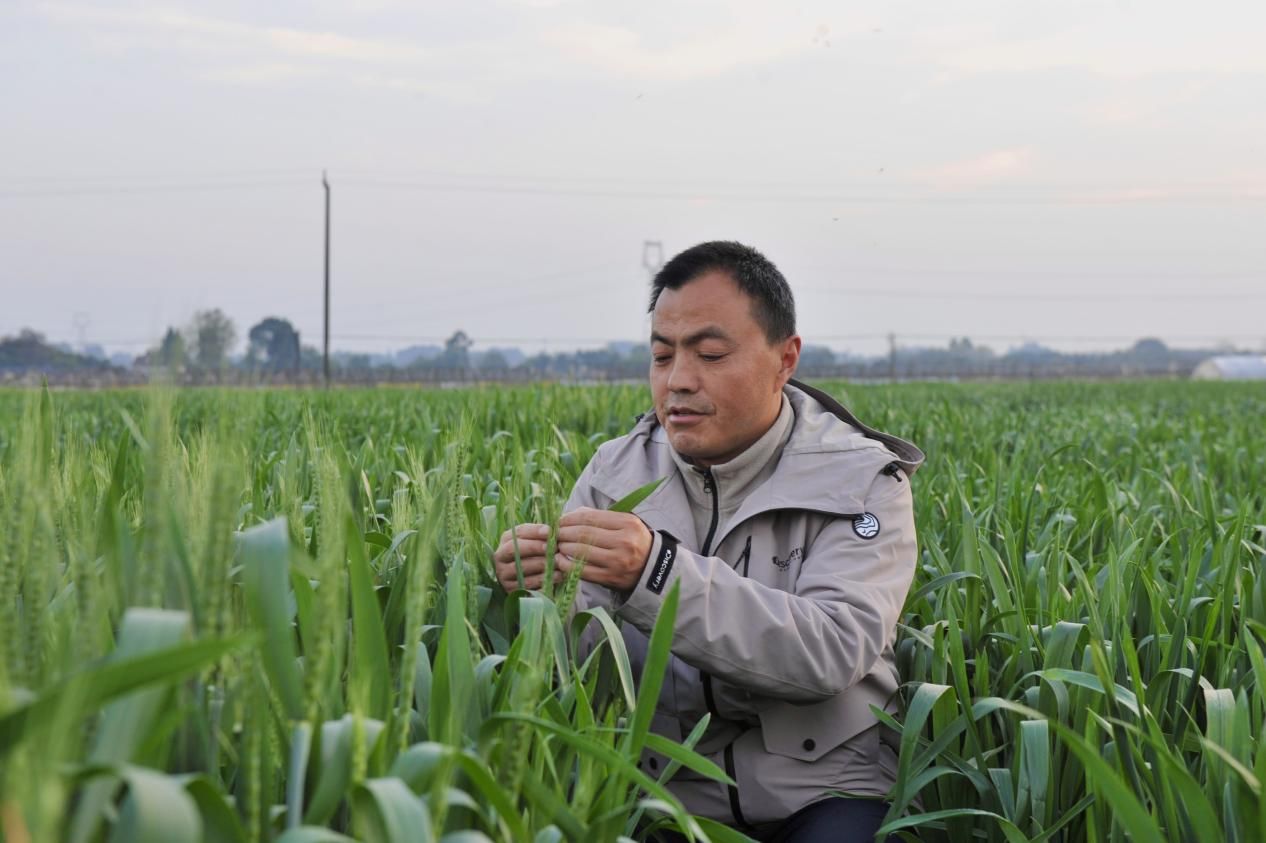 2138cn太阳城集团