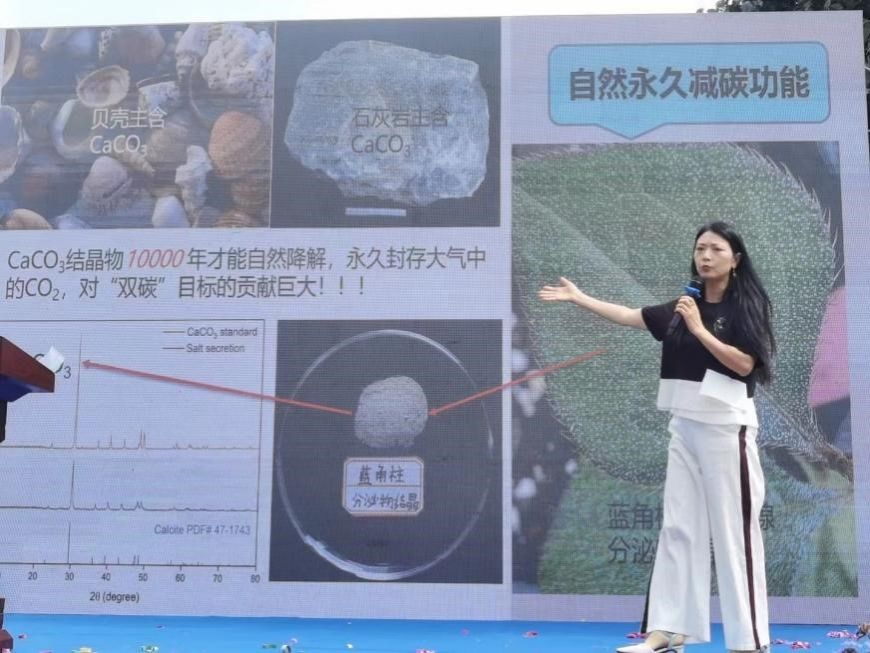 2138cn太阳城集团