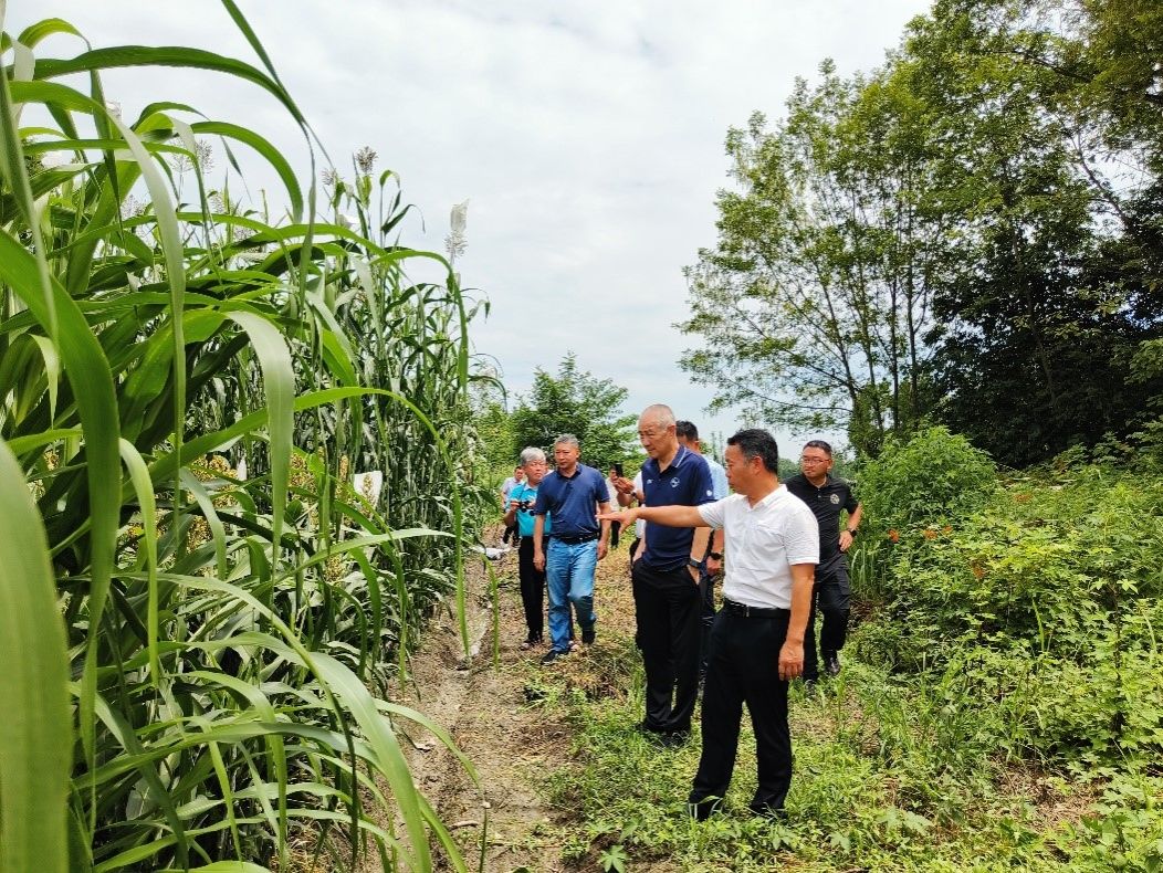 2138cn太阳城集团