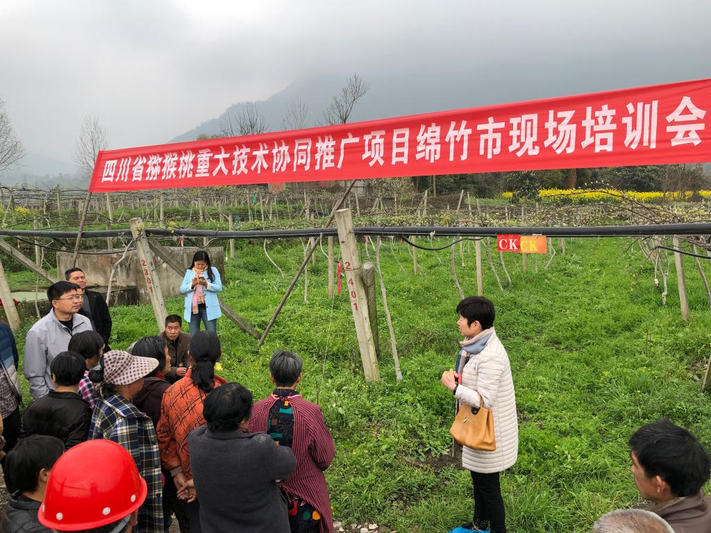 2138cn太阳城集团