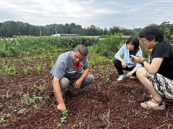 2138cn太阳城集团