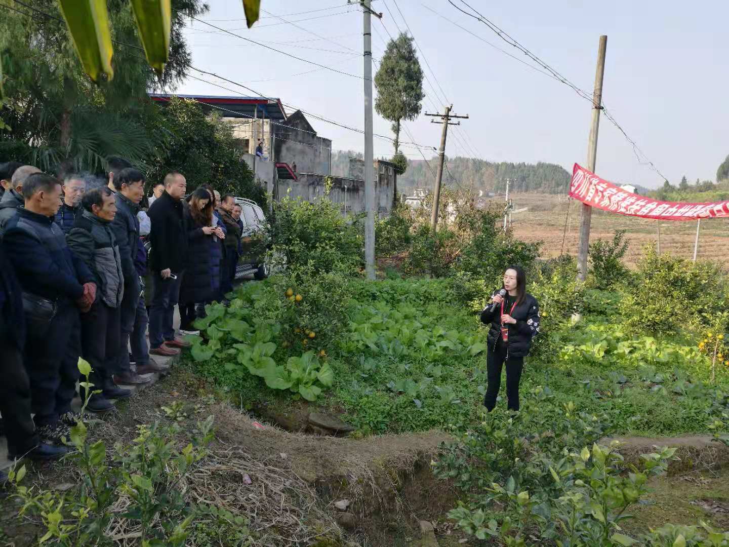 1.jpg 2138cn太阳城集团