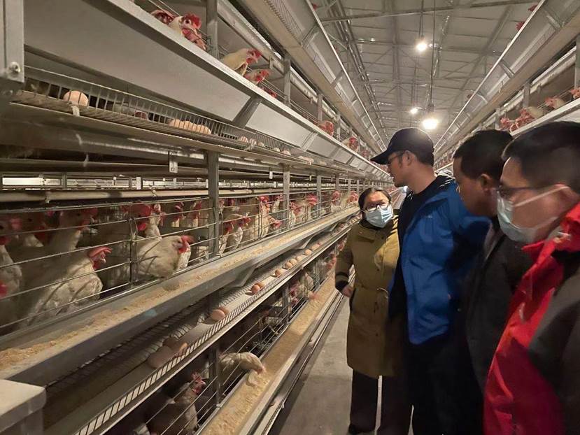 2138cn太阳城集团