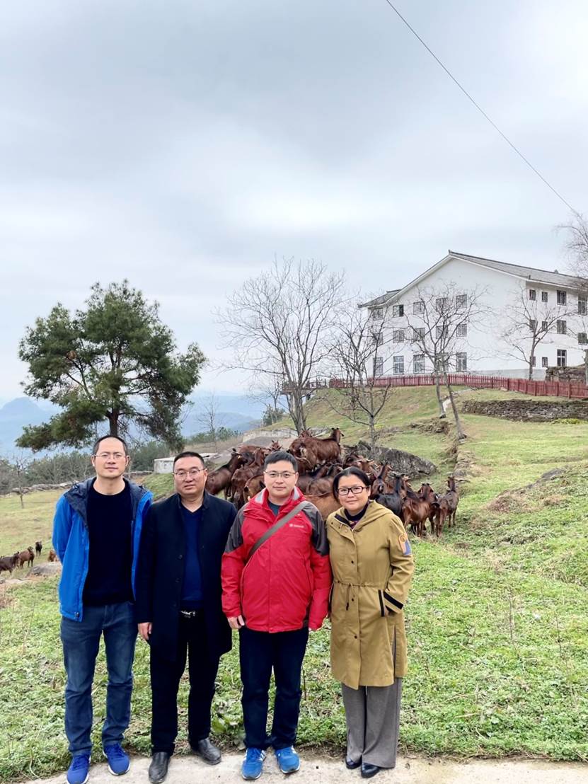 2138cn太阳城集团