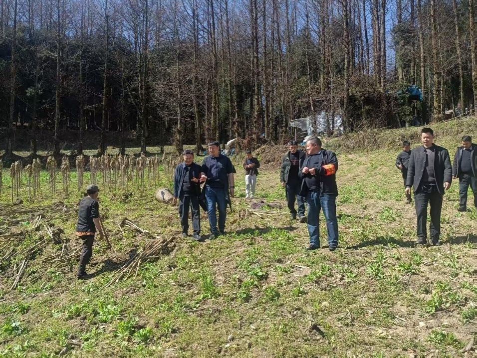 2138cn太阳城集团