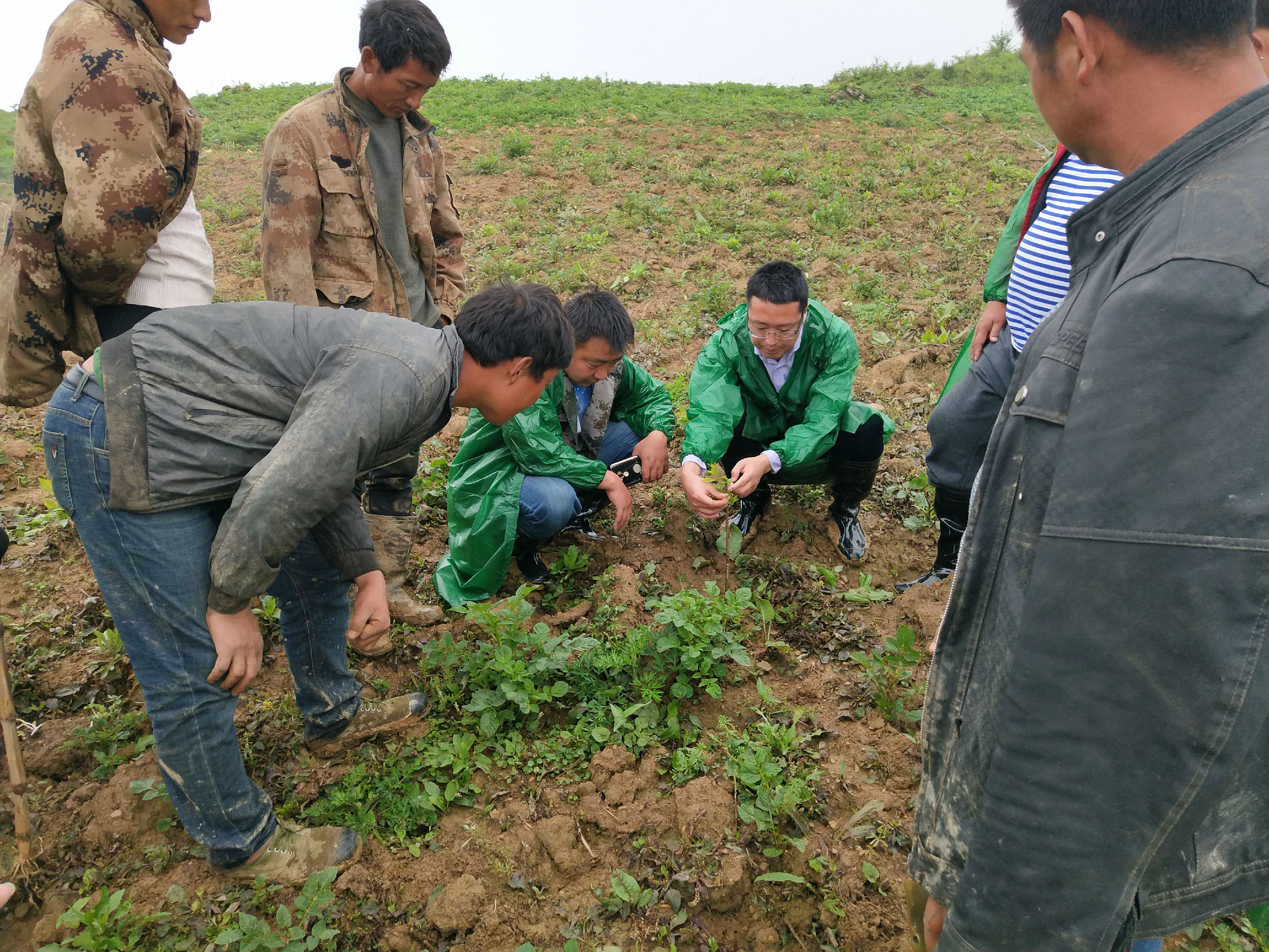 2138cn太阳城集团