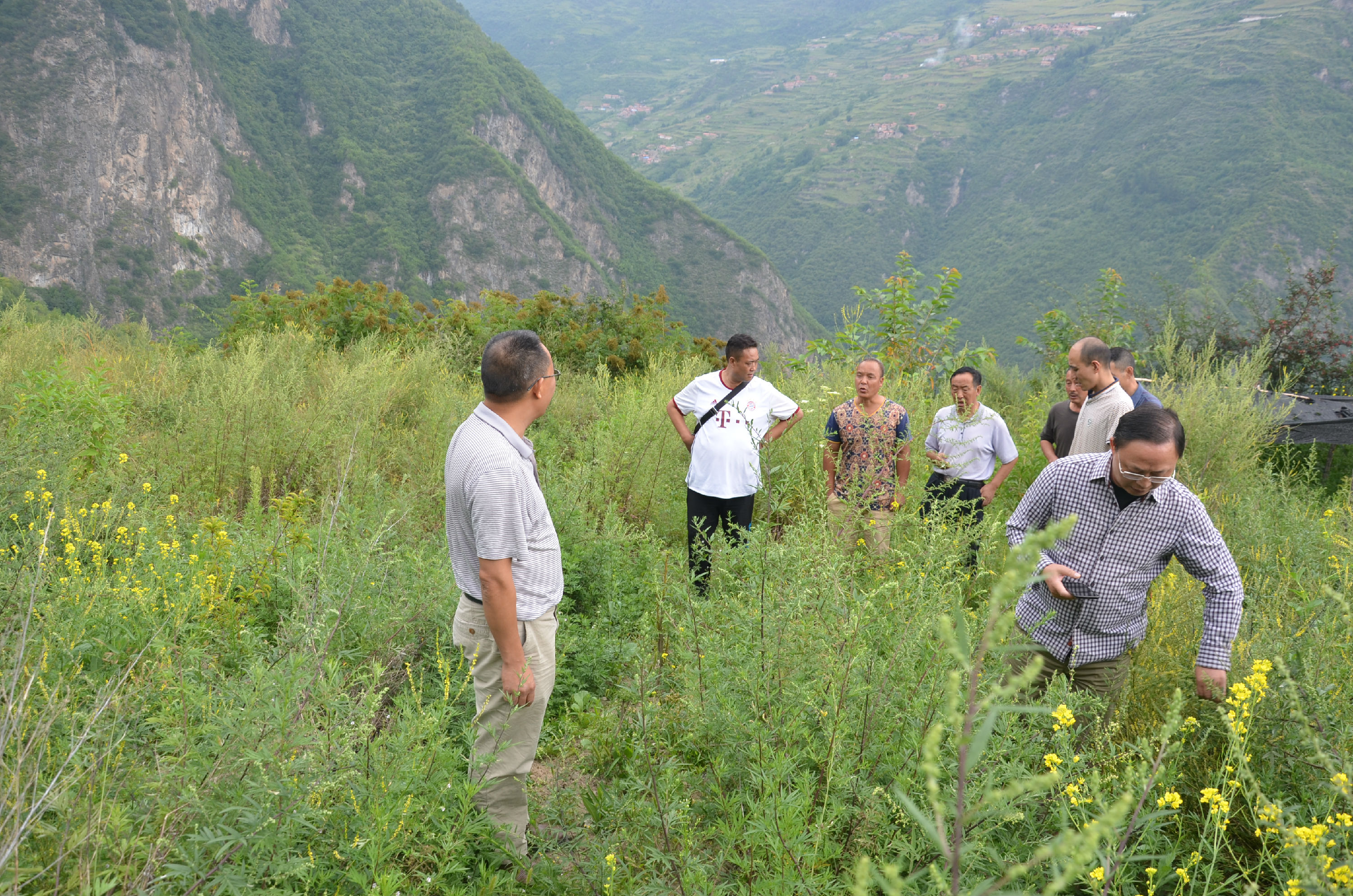 2138cn太阳城集团