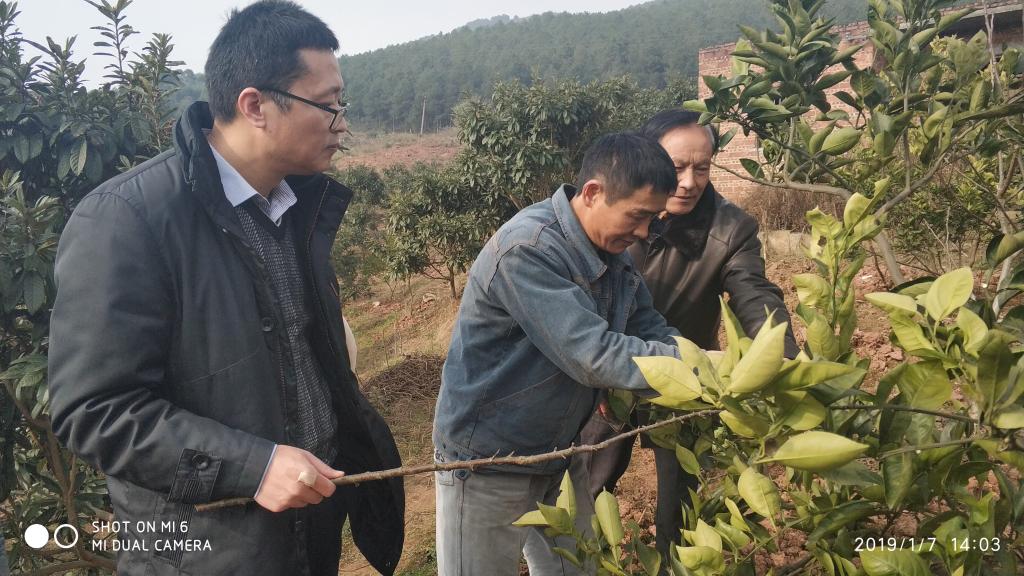 2138cn太阳城集团