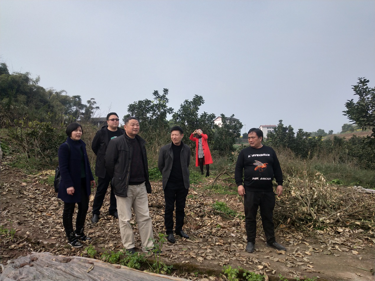 2138cn太阳城集团