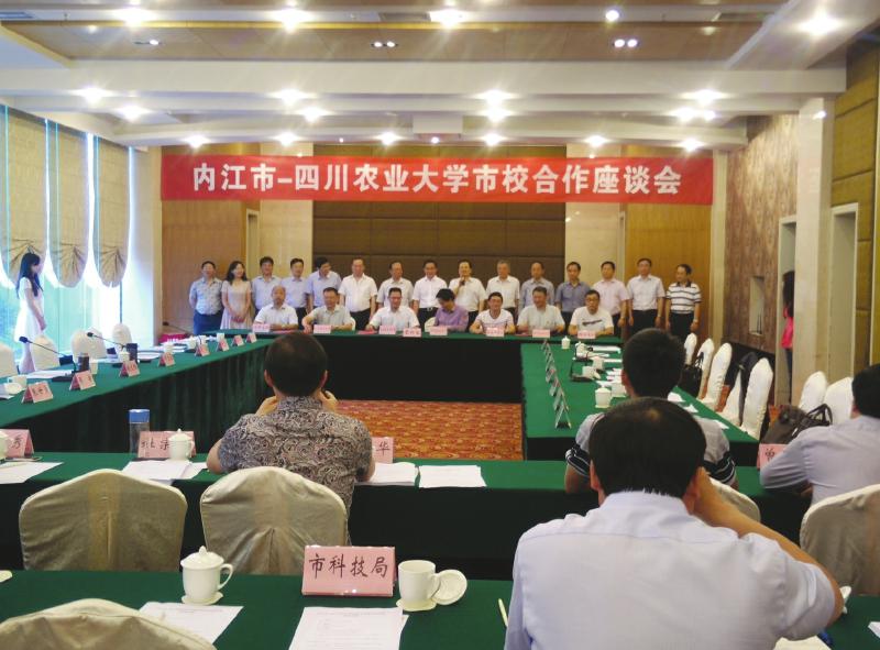 2138cn太阳城集团