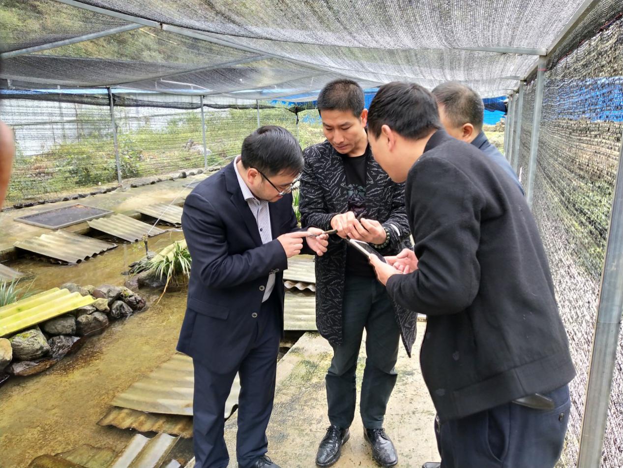 2138cn太阳城集团