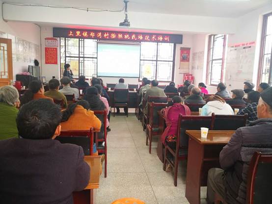 2138cn太阳城集团