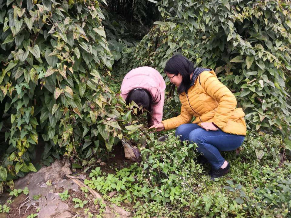 2138cn太阳城集团